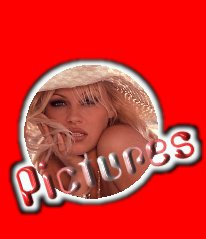 Pamela Anderson Pictures... a lot!
